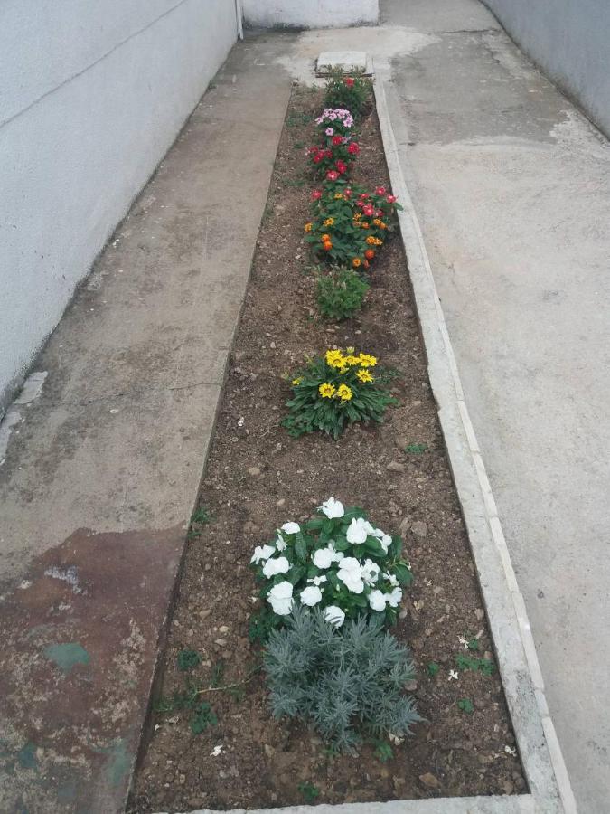 Apartments Radulovic Sutomore Ngoại thất bức ảnh