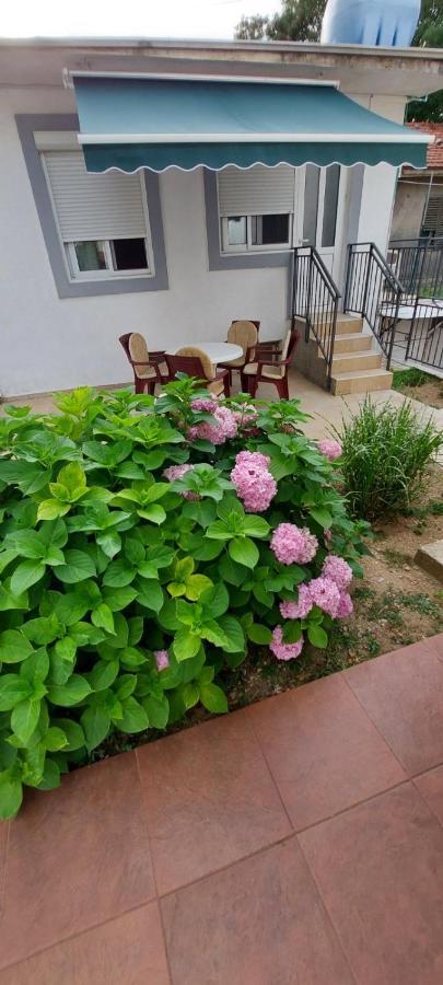 Apartments Radulovic Sutomore Ngoại thất bức ảnh